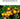 Adjustable Fruit Picker - High Branch Harvesting Tool - DecorOfficial