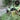 High Pressure Garden Hose Spray Gun - Automatic Water Nozzle - DecorOfficial