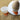 Egg Holder Rack - Creative 4 Pack Chicken Egg Stand - DecorOfficial