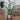 LED Plant Night Light - Decorative Houseplant Lamp - DecorOfficial
