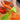 Spiral Vegetable Peeler - Easy Kitchen Tool for Veggie Prep - DecorOfficial