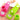 Mini Garlic Press - Compact Fresh Garlic Grater - DecorOfficial