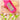 Mini Garlic Press - Compact Fresh Garlic Grater - DecorOfficial