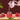 Manual Fruit Juicer - Easy Juicing Tool - DecorOfficial