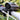 Super Loud Electric Bicycle Horn - Bike Safety Alert - DecorOfficial