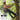 Cats Claw Hiking Pole - Outdoor Hiking Tool for Shoes - DecorOfficial