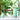 Gooseneck Plant Watering Can - Elegant Geometric Design - DecorOfficial
