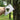 Card Bottle Opener - Creative Play Design - DecorOfficial