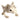 Skeleton Pet Figurines - Cute Halloween Decor - DecorOfficial