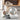 Automatic Pet Water Feeder - Bubble Design for Cats and Dogs - DecorOfficial