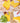 Pasta Maker Set - 3-Piece Spaghetti Machine - DecorOfficial