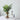 Nordic Wooden Flower Vase - Glass Floral Decor - DecorOfficial