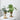 Nordic Wooden Flower Vase - Glass Floral Decor - DecorOfficial