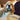 Rubber Smiley Dog Chew Toys - Funny Pet Chew Toys - DecorOfficial