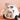 Interactive Toy Car - Fun Cartoon Vehicle for Kids - DecorOfficial