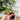 Eco-Friendly Coffee Spoon - Sustainable Long Handle Kitchen Utensil - DecorOfficial