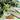 Eco-Friendly Coffee Spoon - Sustainable Long Handle Kitchen Utensil - DecorOfficial