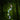 Solar LED Hummingbird Garden Lamp - Outdoor Decorative Light - DecorOfficial
