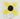 Floral Baby Bath Tub - Stylish Infant Bathing Flower Design - DecorOfficial