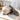 Modern European Hand-Handled Globe - Century Model - DecorOfficial