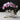 Artificial Butterfly Orchid Flower Set - Decorative Silk Plants - DecorOfficial