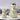 Miniature Dog Treat Dispensers - Fancy Candy Holders - DecorOfficial