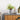 Geometric Face Vase - Modern Nordic Decor نباتات - DecorOfficial