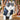 Leather Dog Jacket - Stylish Warm Pet Coat - DecorOfficial