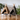 Portable Pet Bed Tent - Cozy Travel Shelter for Cats Dogs - DecorOfficial