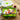 Silicone Foldable Lunch Box Set - Durable Food Storage Containers - DecorOfficial