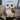 Solar Owl Lantern - Decorative Outdoor Light - DecorOfficial