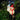 Solar Snowman Holiday Decoration - Outdoor Christmas Light - DecorOfficial
