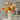 Stacking Glass Vases - Decorative Centerpiece Accents - DecorOfficial