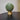 Starry Sky Glass Table Lamp - Night Light Decor - DecorOfficial