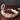 Swan Ceramic Tray Set - Elegant Fruit Bowl and Ashtray for Home Decor - DecorOfficial