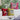 Velvet Cat Embroidery Pillow Covers with Tassels - Cozy Throw Pillowcases - DecorOfficial