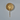 Wall Lamp - Elegant Golden Bell Lighting Fixture - DecorOfficial