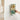 Wall-Mounted Organizer – Transparent Hanging Storage for Underwear - DecorOfficial