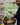 Outdoor & Gardening - DecorOfficial