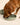 Pet Feeding - DecorOfficial