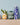 Vases - DecorOfficial