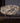 Fossil Sculpture - Genesis Decorative Art Piece - DecorOfficial