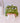 Bored Frog Tissue Box - Cute Frog Tissue Holder - DecorOfficial