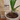 Automatic Plant Watering Dripper Bag - Efficient Garden Irrigation System - DecorOfficial