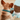 Automatic Pet Feeder - Interactive Food Dispenser for Dogs and Cats - DecorOfficial