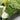 3D Flocked Moss Mats - Realistic Greenery Decor - DecorOfficial