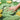 3D Flocked Moss Mats - Realistic Greenery Decor - DecorOfficial