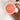 4-Hole Squeeze Sauce Bottle for Decorating Ketchup Creams Cakes - DecorOfficial