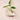 Heart Shaped Flower Vase - Decorative Floral Container - DecorOfficial