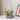 Milo Sloth Hanging Planter - Fun Indoor Plant Decor - DecorOfficial